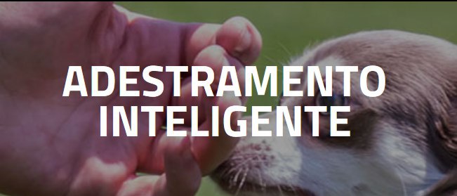 Capa: Baixar Adestramento Inteligente - Alexandre Rossi | Curso Completo