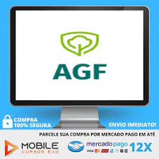 Capa: Baixar Curso Luiz Barsi AGF: O Jeito Barsi de Investir (Download Oficial)
