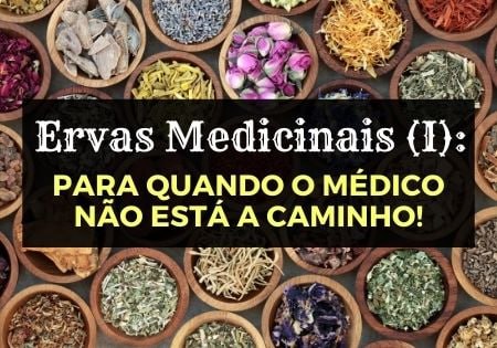 Capa: Download Urgente: Ervas Medicinais (I) Afonso Lopes - Guia Essencial