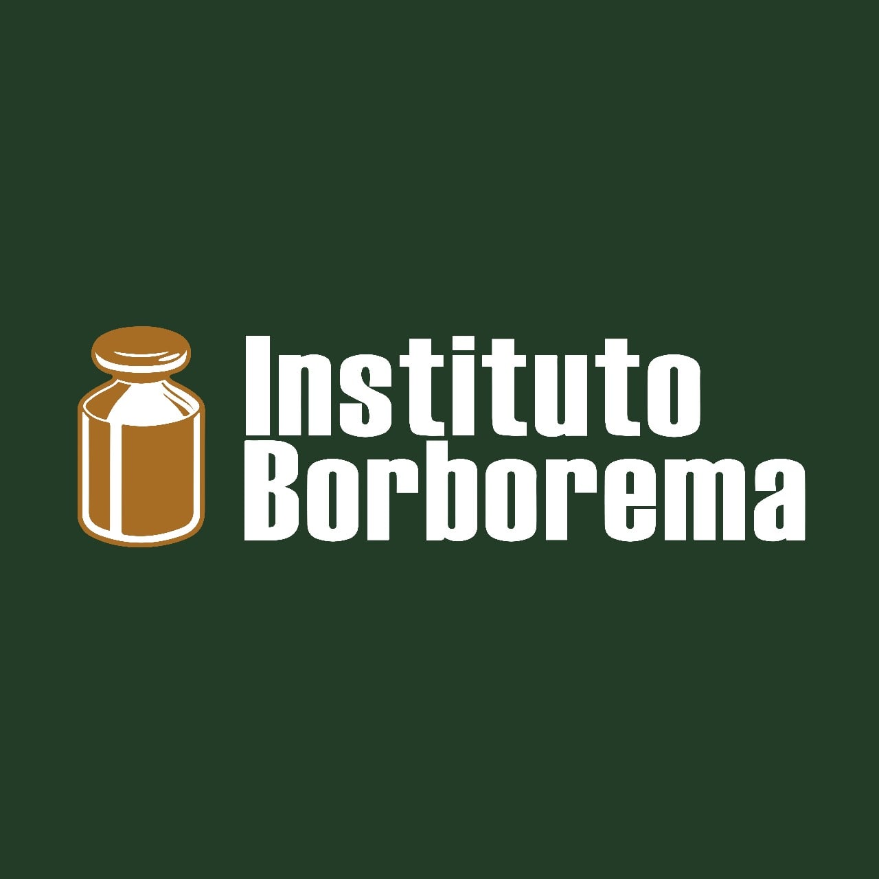 Capa: Instituto Borborema: Baixar Curso Completo com 134h de Conteúdo