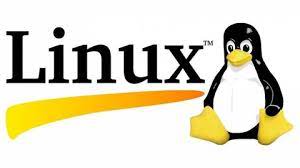 Capa: Linux Completo: Baixar Curso Universidade Geek + Drive