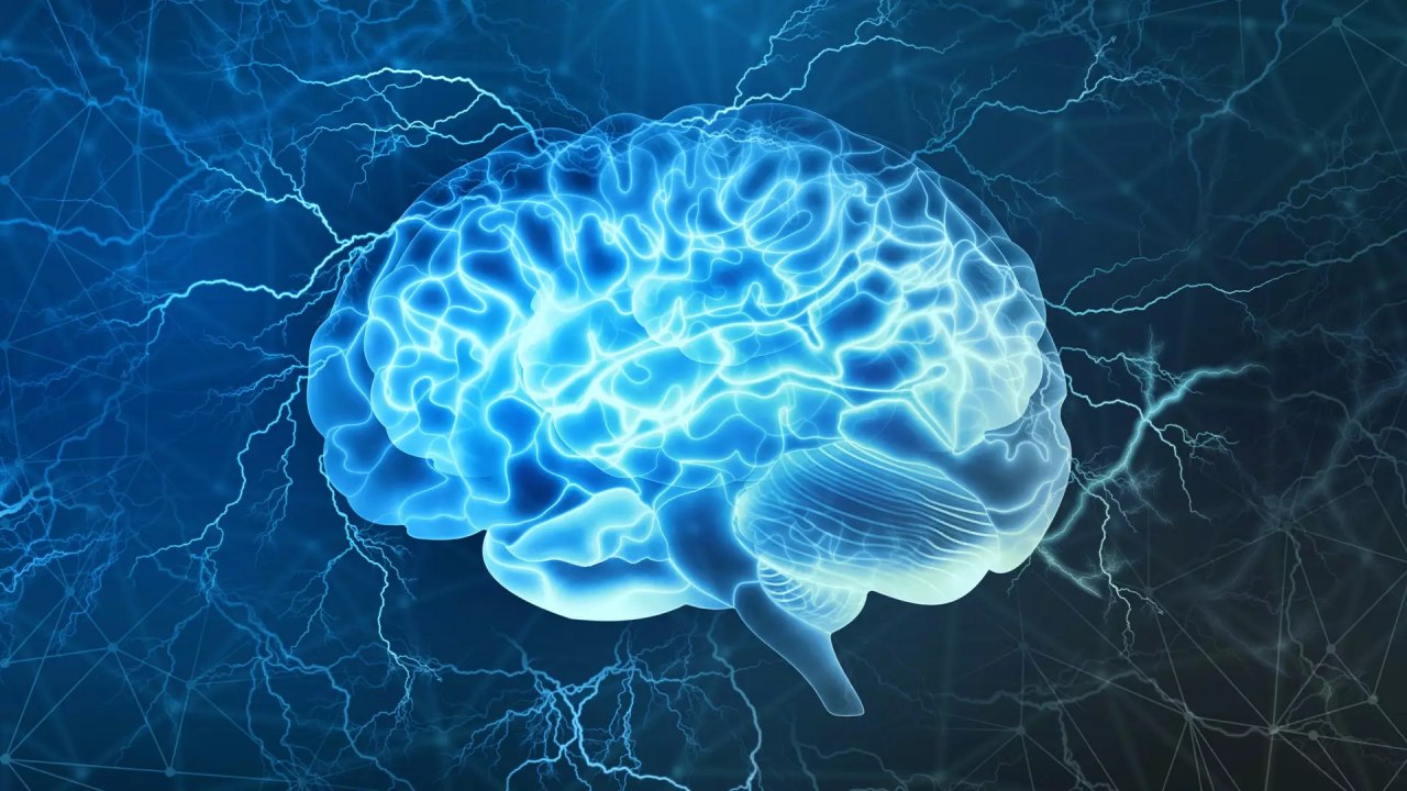Capa: Neurociência e Comportamento Eslen Delanogare: Download Essencial