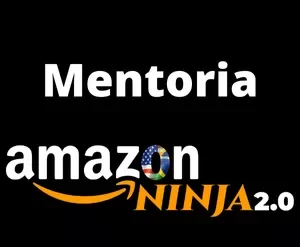 Curso Amazon Ninja: Estratégias de vendas e tráfego pago para e-commerce.