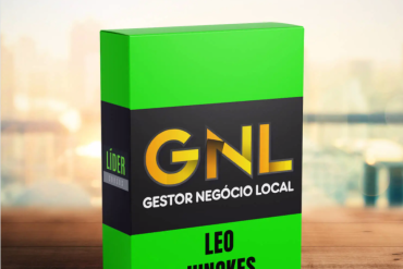 GNL Gestor Negócio Local Leo Junckes Download Tráfego Pago Empresas