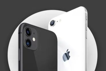 Curso Téd Reis: Download do Material de Otimização Profissional