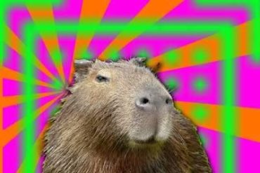 Curso CapivaraWeed: Material Completo para Cultivo Detalhado