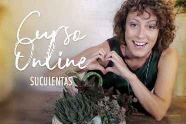Carol Costa e Minhas Plantas: Curso Completo de Arranjos com Suculentas - Download